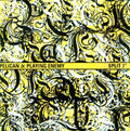 the album cover for Pelican/Playing Enemy - Playing Enemy