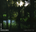the album cover for Weird Dreams - Choreography