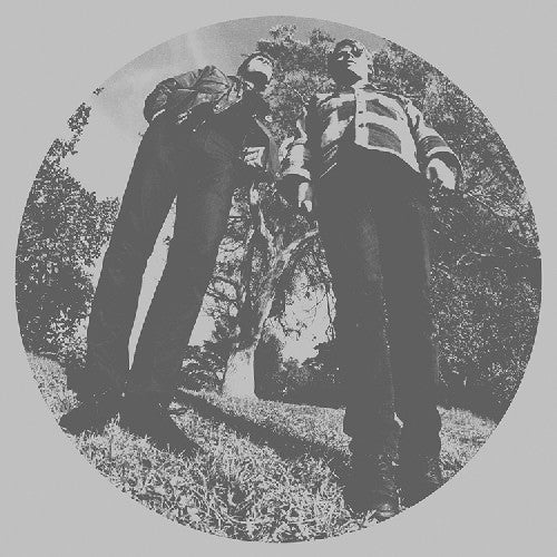 the album cover for Ty Segall - Hair