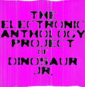 the album cover for The Electronic Anthology Project of Dinosaur Jr. - The Electronic Anthology Project Of Dinosaur Jr.
