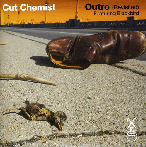 the album cover for Cut Chemist - Outro (Revisted)