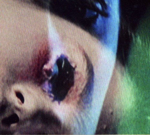 the album cover for PS I Love You - Death Dreams