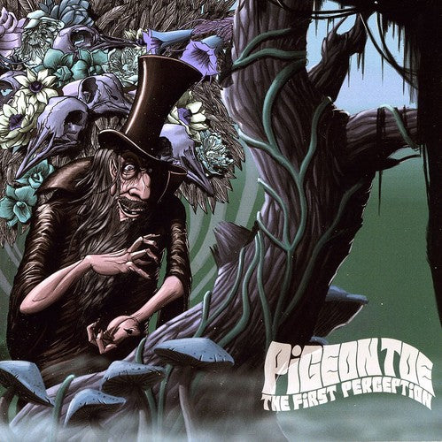 the album cover for Pigeon Toe - First Perception