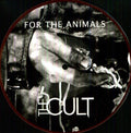 the album cover for The Cult - For the Animals