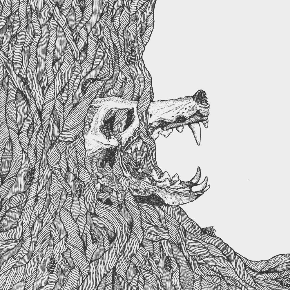 the album cover for Harm Wulf - There's Honey in the Soil So We Wait for the Till