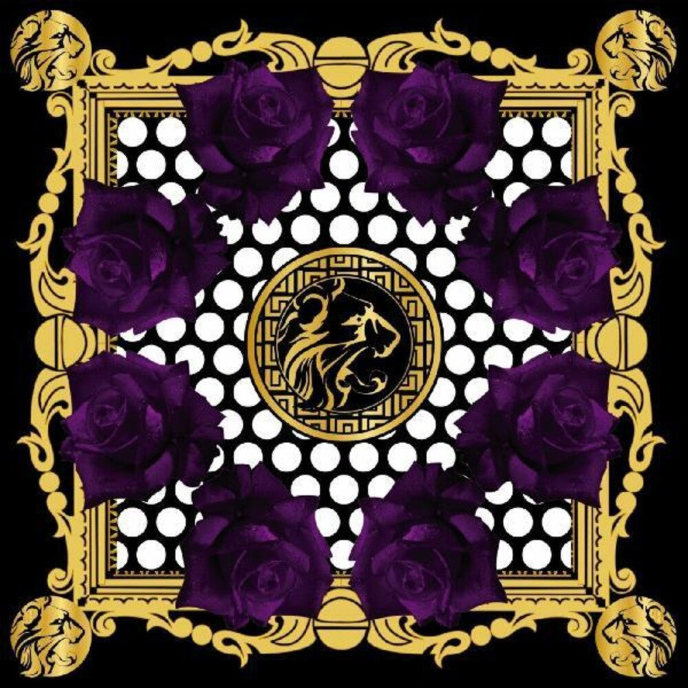 the album cover for Brtsh Knights - If I Was to / Hazed
