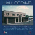 the album cover for Hall Of Fame-Rare & Unissued Gems From The Fame Va - Hall Of Fame-Rare & Unissued Gems From The Fame Va [Import]