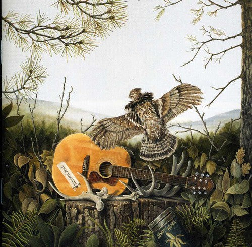 the album cover for The Dandy Warhols - This Machine