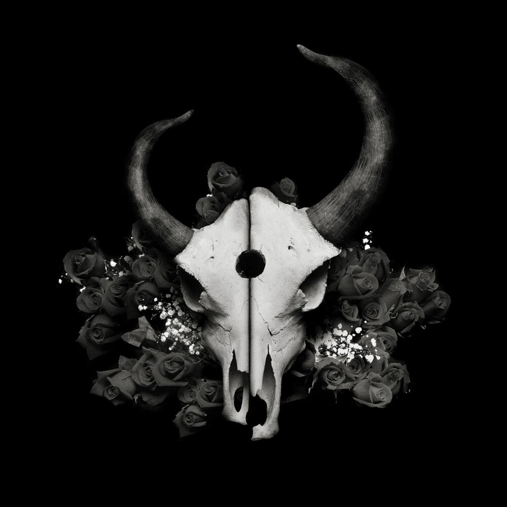 the album cover for Demon Hunter - Summer of Darkness