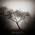 the album cover for Sorrow - Dreamstone