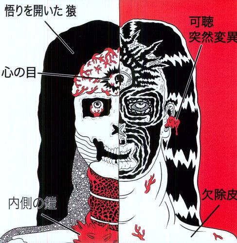 the album cover for Farflung/White Hills - White Hills