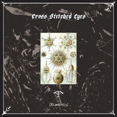 the album cover for CROSS STITCHED EYES - Decomposition