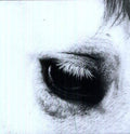 the album cover for Creepoid - Horse Heaven
