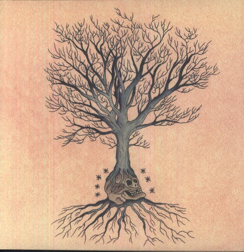 the album cover for David Daniell & Doug Mccombs - Versions