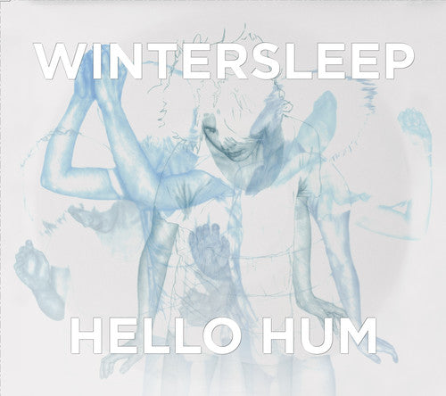 the album cover for Wintersleep - Hello Hum