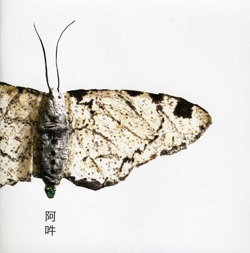 the album cover for Fennesz - AUN: The Beginning and The End Of All Things