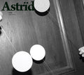 the album cover for Astrid - High Blues