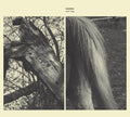the album cover for Susanna - Wild Dog