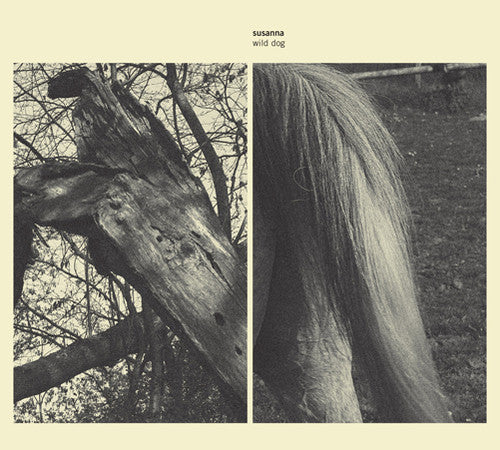 the album cover for Susanna - Wild Dog
