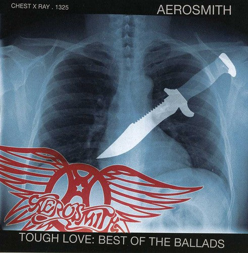 the album cover for Aerosmith - Icon