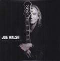 the album cover for Joe Walsh - Analog Man