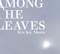 the album cover for Sun Kil Moon - Among the Leaves