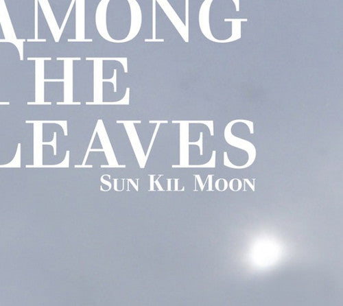 the album cover for Sun Kil Moon - Among the Leaves