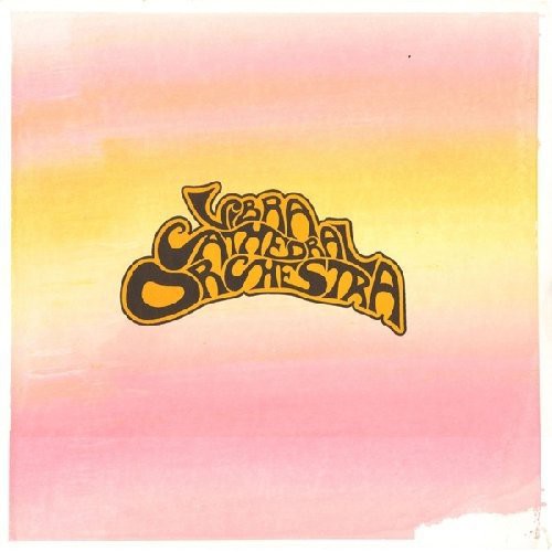the album cover for Vibracathedral Orchestra - Vibracathedral Orchestra [With DVD] [Reissue]