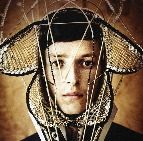 the album cover for Totally Enormous Extinct Dinosaurs - Trouble