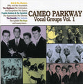 the album cover for Remember Me Baby-Cameo Parkway Vocal Groups - Remember Me Baby - Cameo Parkway Vocal Groups, Vol. 1