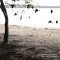 the album cover for The Tallest Man On Earth - There's No Leaving Now
