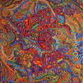 the album cover for World Of Acid - World Of Acid