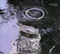 the album cover for Rolf Julius - Raining