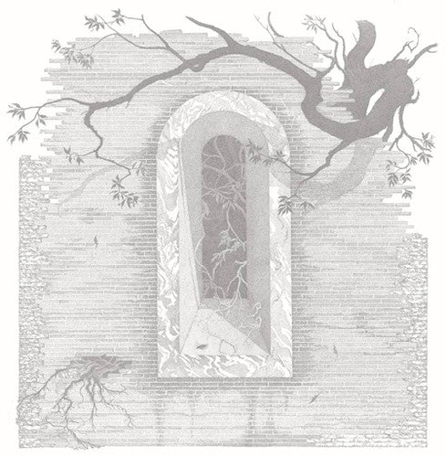the album cover for Stephen Omalley & Steve Noble - St. Francis Duo