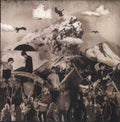 the album cover for Horse Feathers - Cynic's New Year