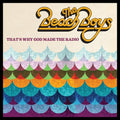 the album cover for The Beach Boys - That's Why God Made The Radio