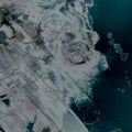 the album cover for Bosse De Nage - II