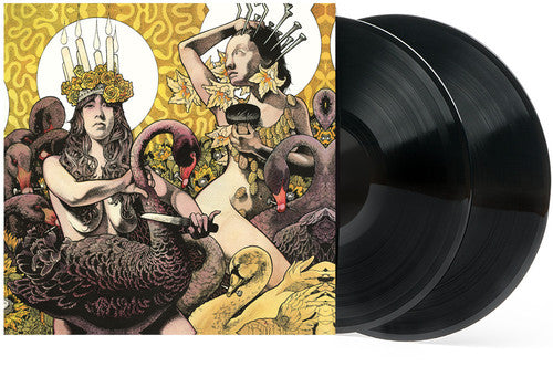 the album cover for Baroness - Yellow & Green [Vinyl]