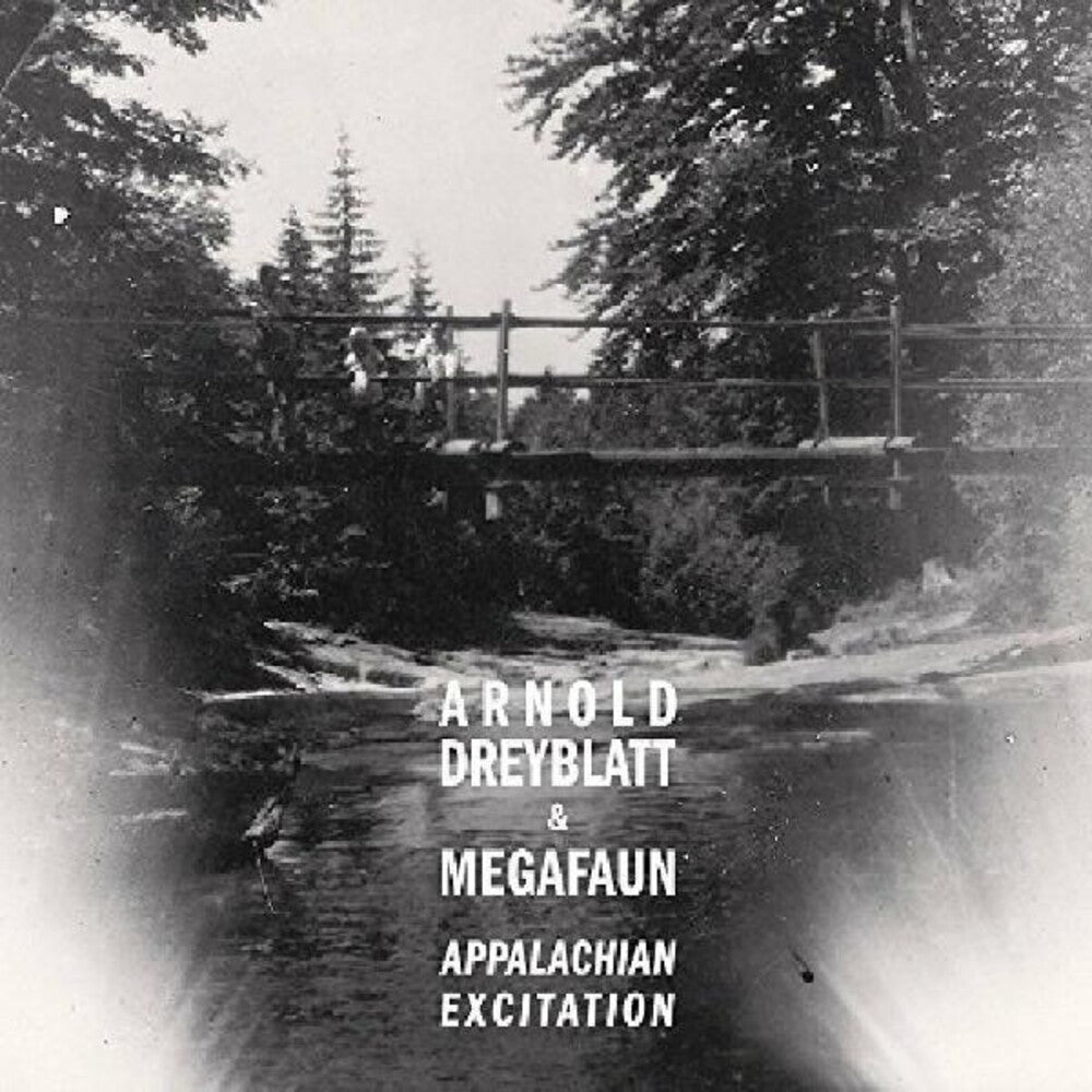 the album cover for Arnold Dreyblatt & Megafaun - Appalachian Excitation