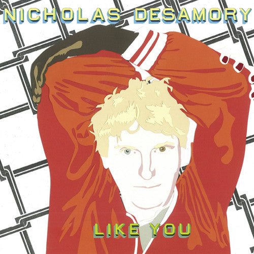 the album cover for Nicholas Desamory - Like You