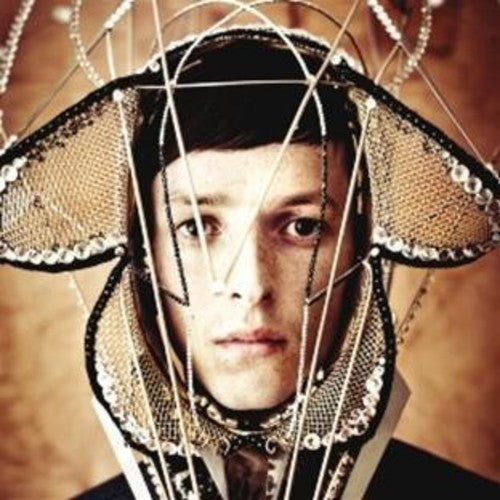 the album cover for Totally Enormous Extinct Dinosaurs - Trouble