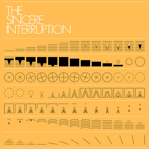 the album cover for Eric Lanham - The Sincere Interruption