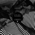 the album cover for Jamie Lidell - Big Love Remixes
