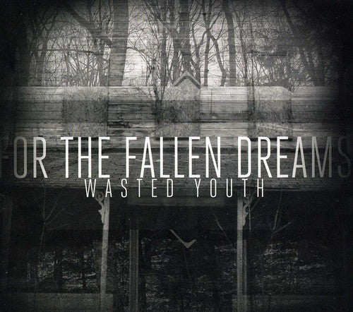 the album cover for For The Fallen Dreams - Wasted Youth