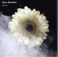the album cover for Guy Gerber - Fabric 64: Guy Gerber [Import]