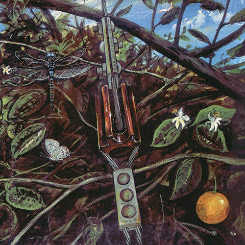 the album cover for Dragonfly - Dragonfly