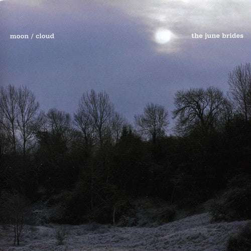 the album cover for June Brides - A January Moon