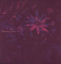 the album cover for Constants - Pasiflora