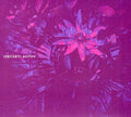 the album cover for Constants - Pasiflora