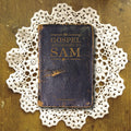 the album cover for Sam Langhorn - The Gospel According To Sam